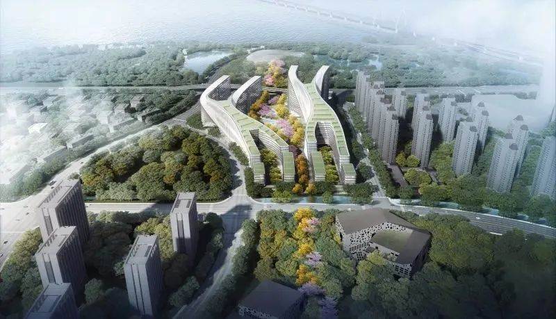 中节能之江首座实景图