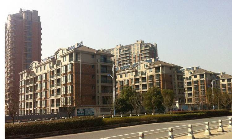 岸上蓝山