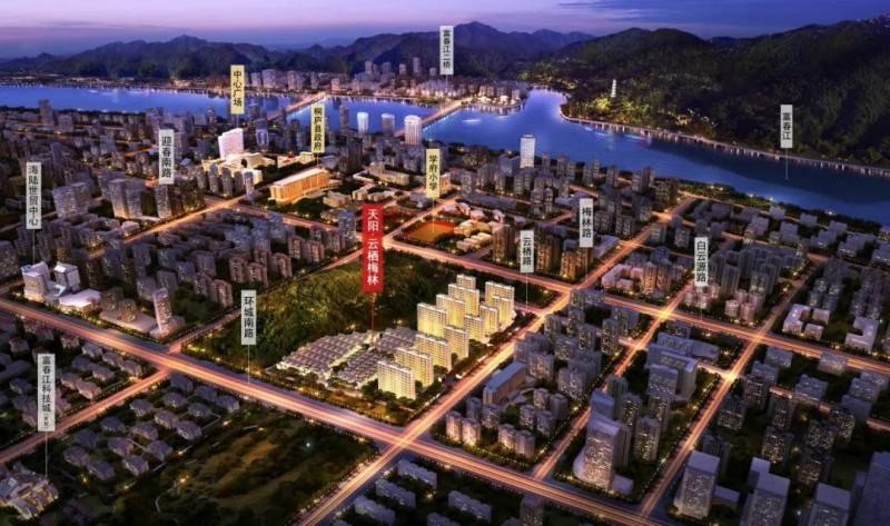 天阳云栖梅林实景图