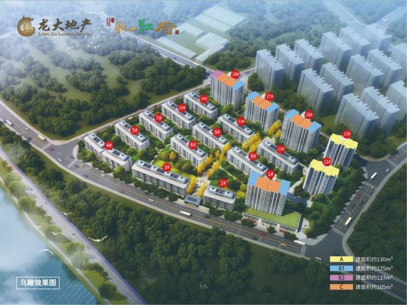 龙大悦江府实景图