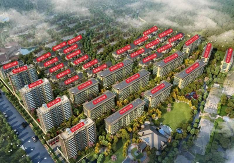 新湖菲林山实景图