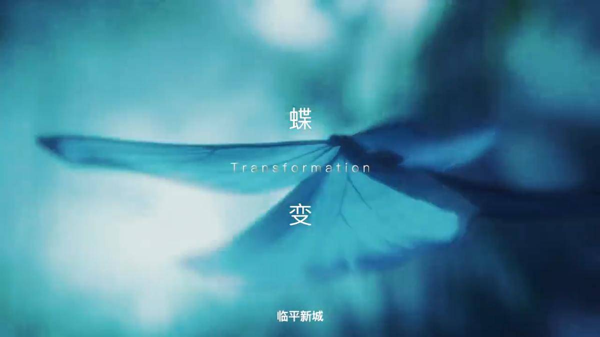 滨江蝶翠迎宾府视频