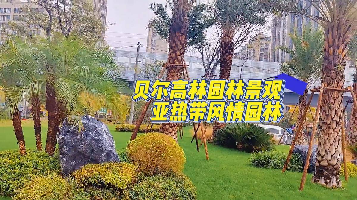 滨江蝶翠迎宾府视频
