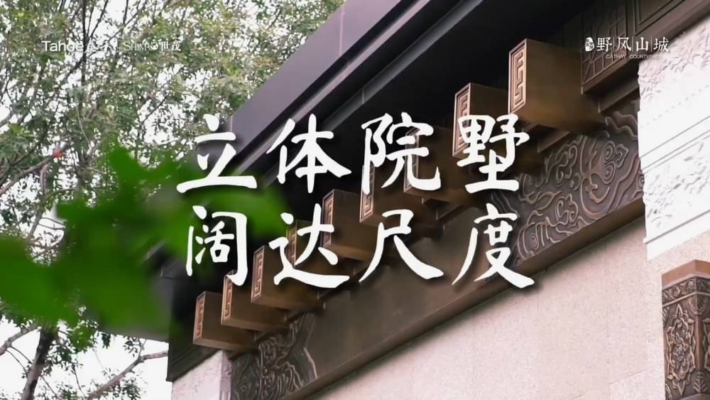 泰禾世茂大城小院视频