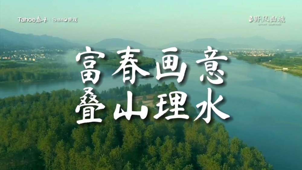 泰禾世茂大城小院视频