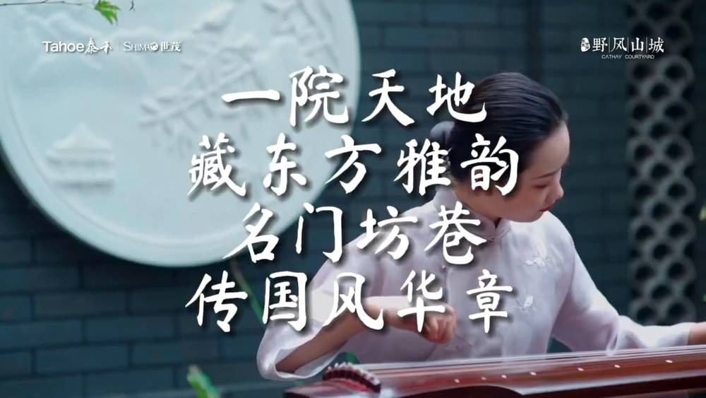 泰禾世茂大城小院视频