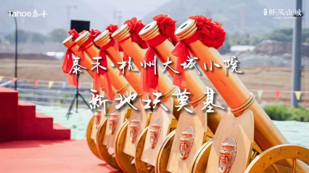 泰禾世茂大城小院视频
